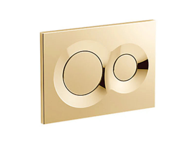 French gold toilet faceplate