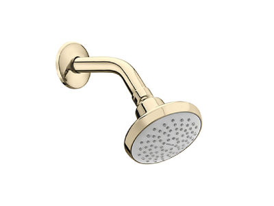 Shower Head SF SHOWERHEAD WITH ARM & ESCUTCHEON