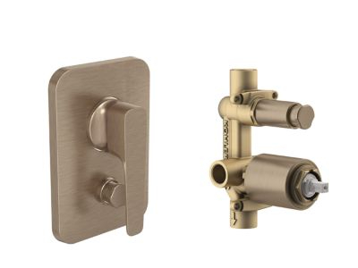 Valve & Trim ALEO+ 40MM RBS TRIM+AT235 VALVE 22787IN-4-BV