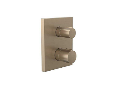 Valve & Trim AUTOSENSE TH REC B&S UNIVERSAL TRIM 24431IN-9FP-BV