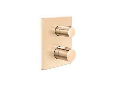 Valve & Trim AUTOSENSE TH REC B&S UNIVERSAL TRIM 24431IN-9FP-RGD