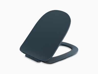 Modern bathroom toilet seat