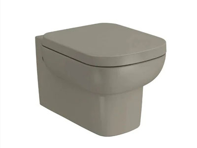 Wall-hung toilet bowl