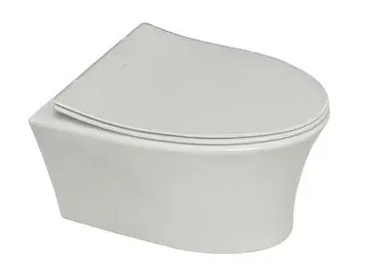 Wall-hung sanitary ware