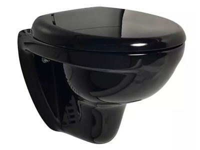 Toilet bowl installation